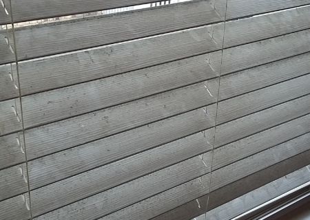 339742389 609925560656449 n