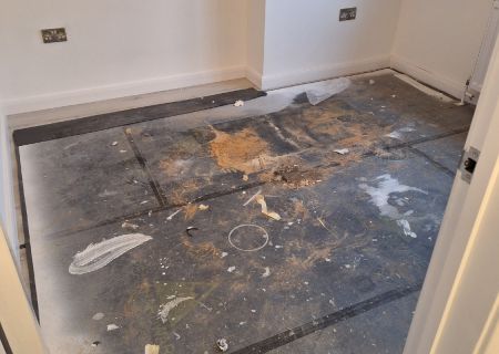 401771077 858577555959066 n